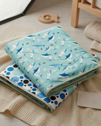 Blue Whales | Kids Dohar